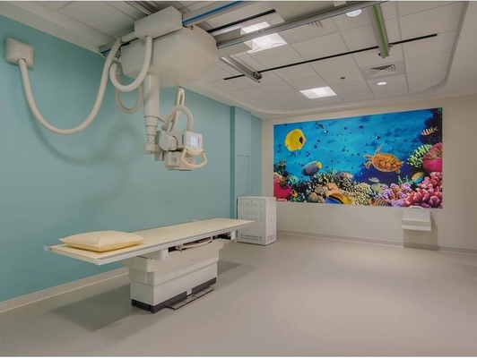 Healthcare Flex Vinyl Flooring For Medical Environment